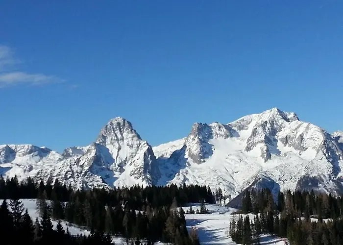 Hal Apartmán Farnau